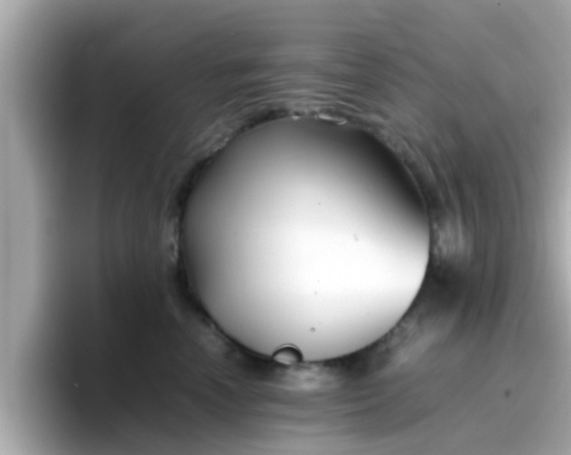 X0000096670666200802121152