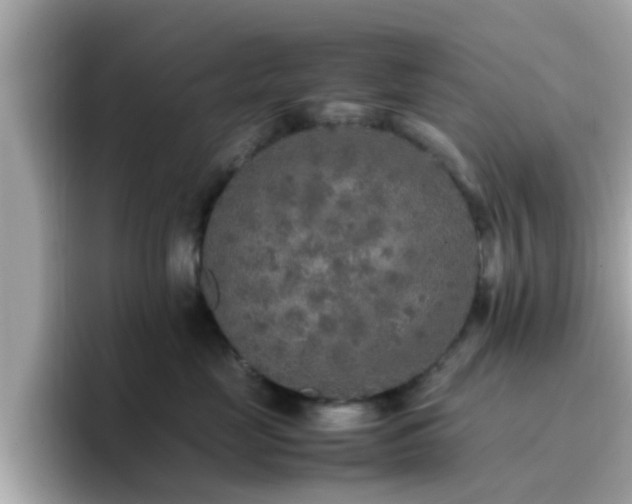 X0000096670669200802121152