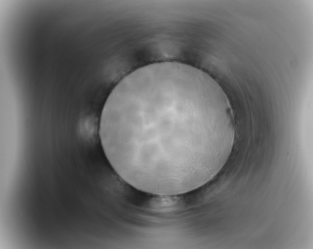 X0000096670672200802121152