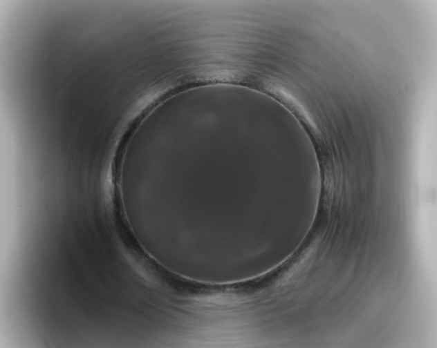 X0000096670674200802121152