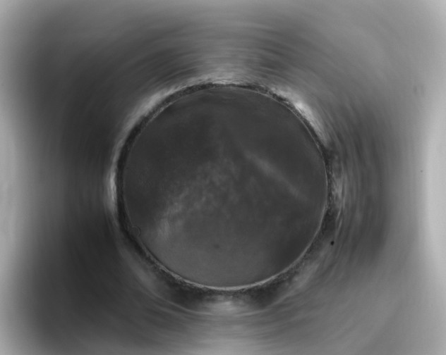 X0000096670678200802121152