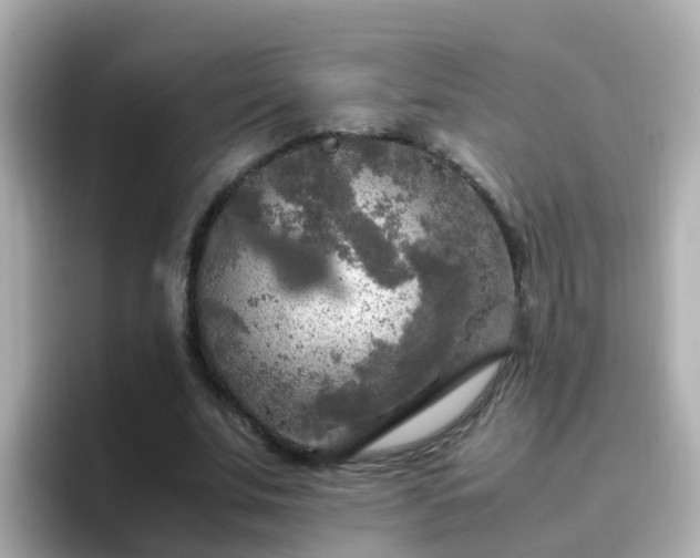 X0000096670679200802121152