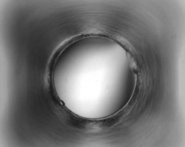 X0000096670680200802121152