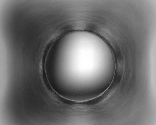 X0000096670681200802121152
