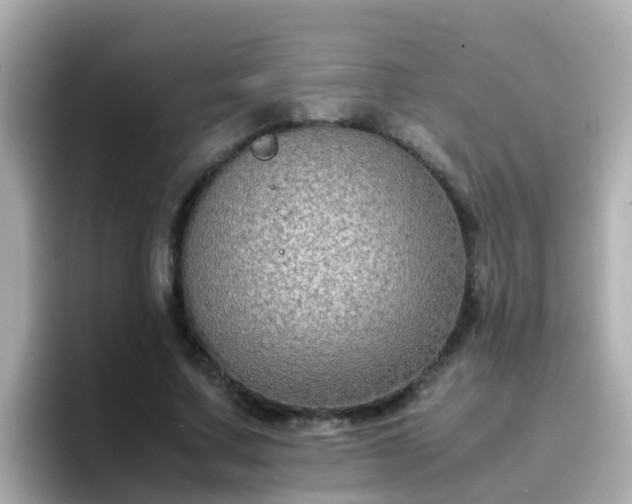 X0000096670683200802121152