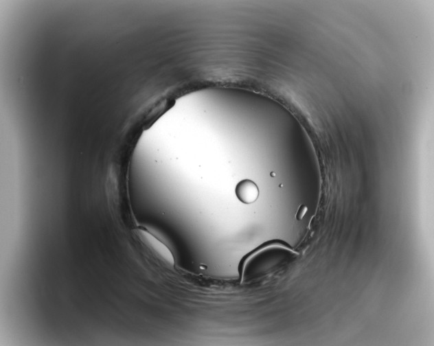 X0000096670688200802121151
