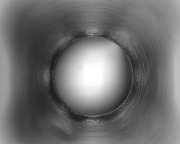 X0000096670690200802121151