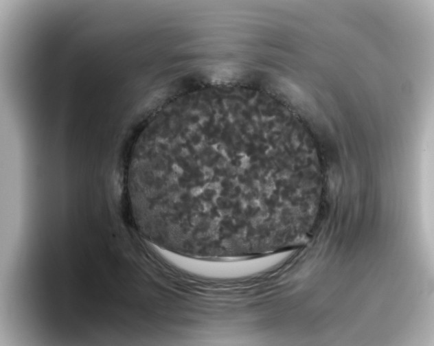 X0000096670691200802121151