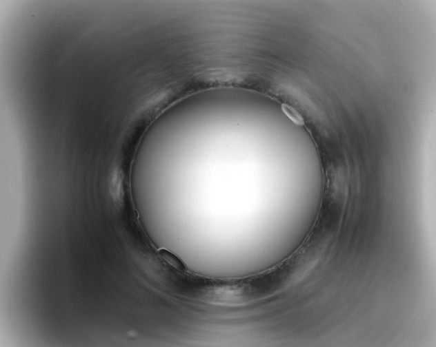 X0000096670692200802121151
