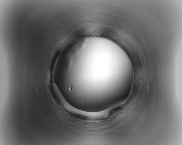 X0000096670693200802121151