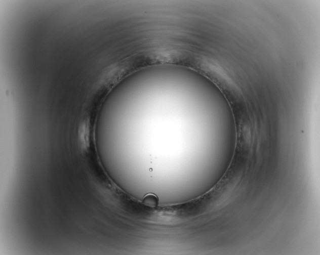 X0000096670694200802121151