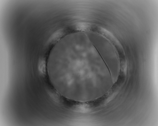 X0000096670696200802121151