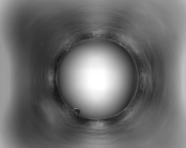 X0000096670698200802121151