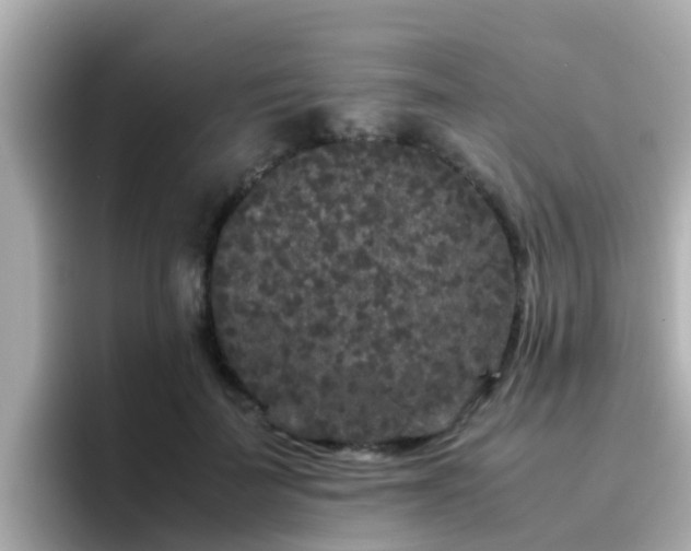 X0000096670699200802121151