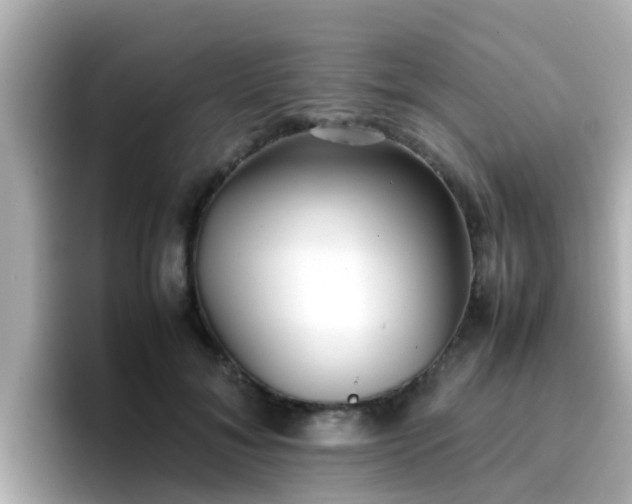 X0000096670700200802121151