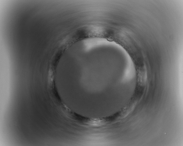 X0000096670701200802121151