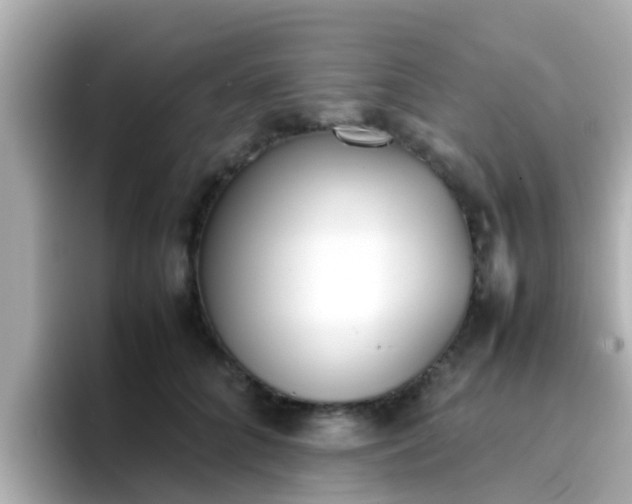 X0000096670704200802121151