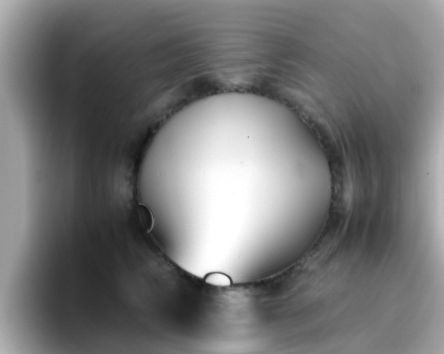 X0000096670710200802121151