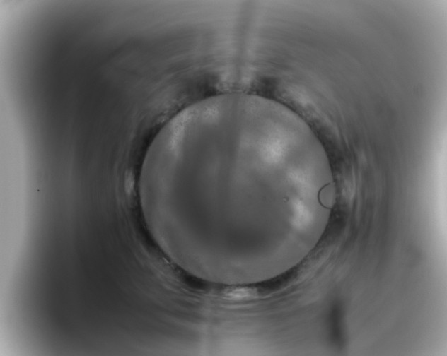 X0000096670711200802121151