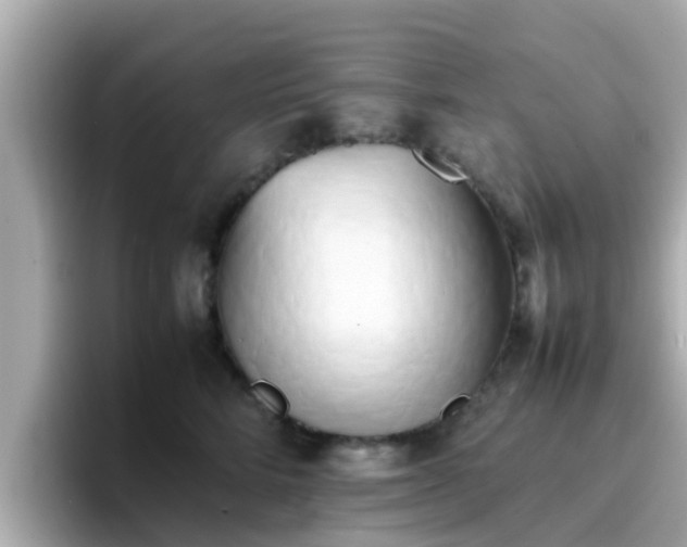 X0000096670712200802121151