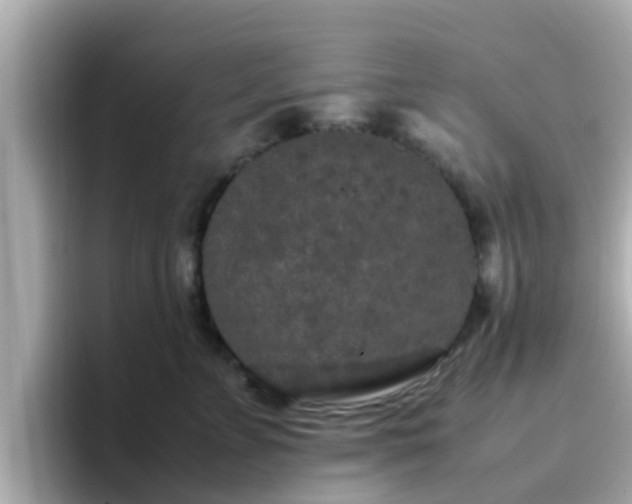 X0000096670715200802121151