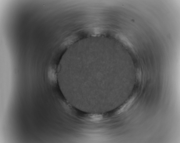 X0000096670719200802121151