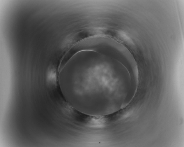 X0000096670720200802121151
