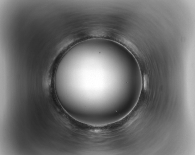 X0000096670723200802121150