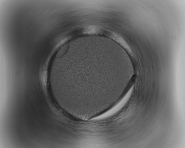 X0000096670724200802121150
