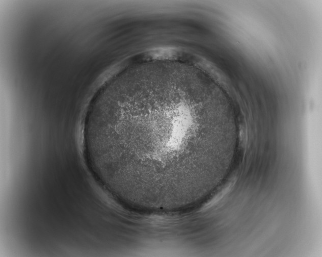 X0000096670725200802121150