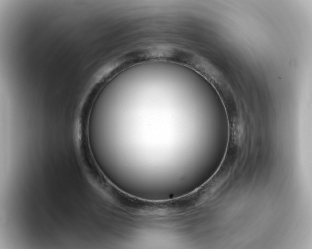 X0000096670726200802121150