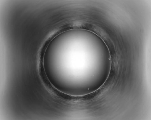 X0000096670728200802121151