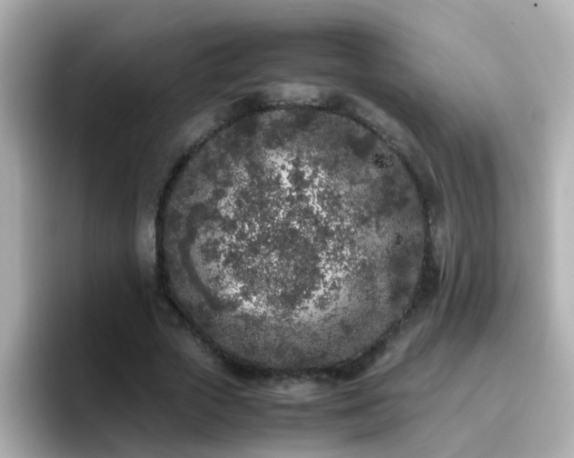 X0000096670729200802121151