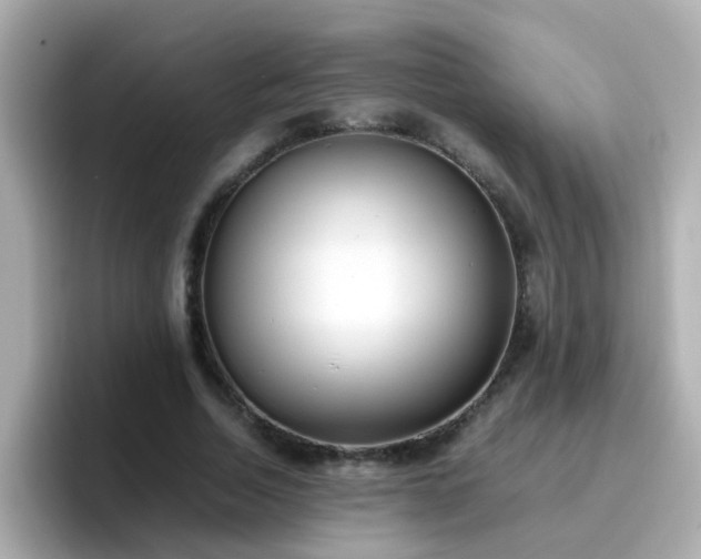 X0000096670730200802121151
