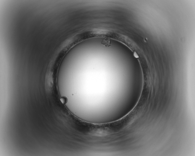 X0000096670731200802121151