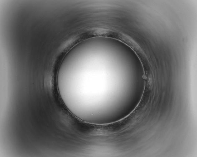 X0000096670732200802121151