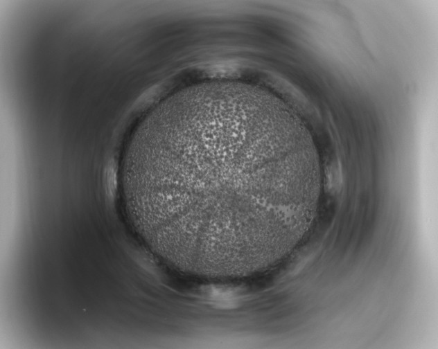 X0000096670733200802121151