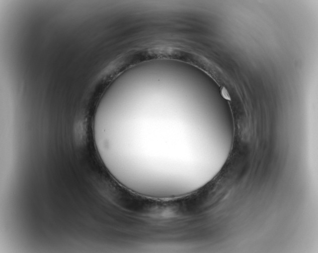 X0000096670735200802121151