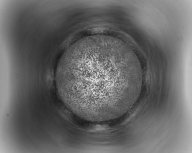 X0000096670737200802121151