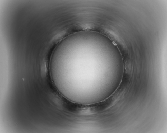 X0000096670740200802121151
