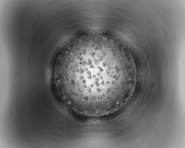 X0000096670742200802121151