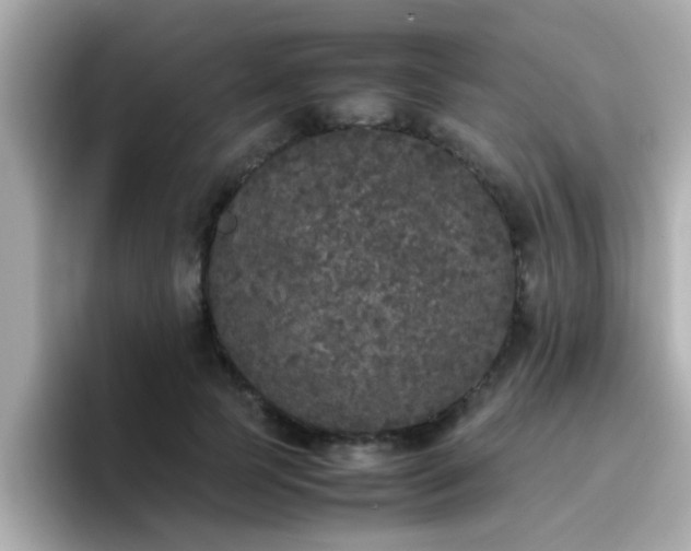 X0000096670745200802121151