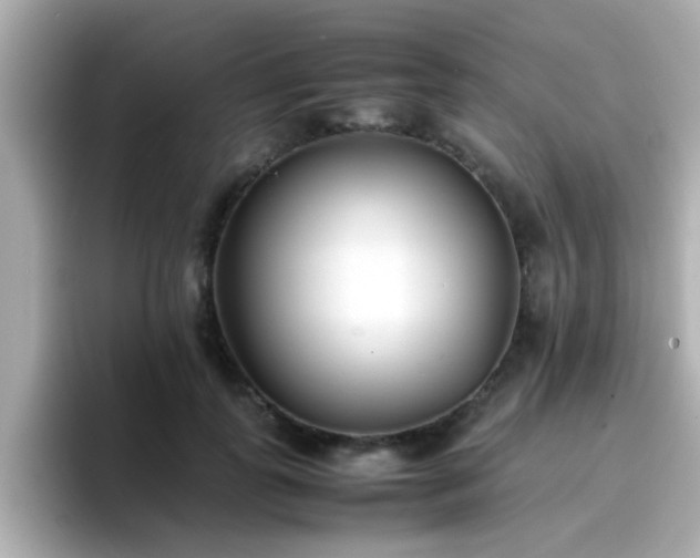 X0000096670747200802121151