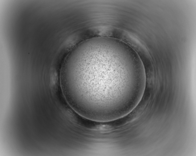 X0000096670748200802121151