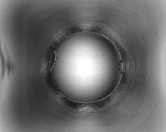 X0000096670750200802121151