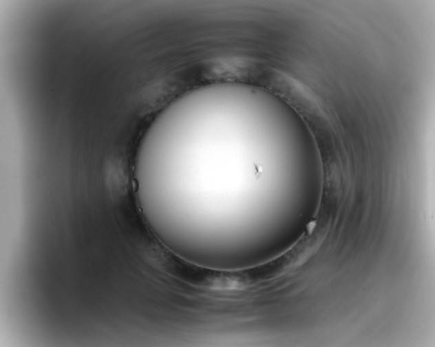 X0000096670751200802121151
