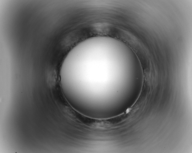 X0000096670752200802121151