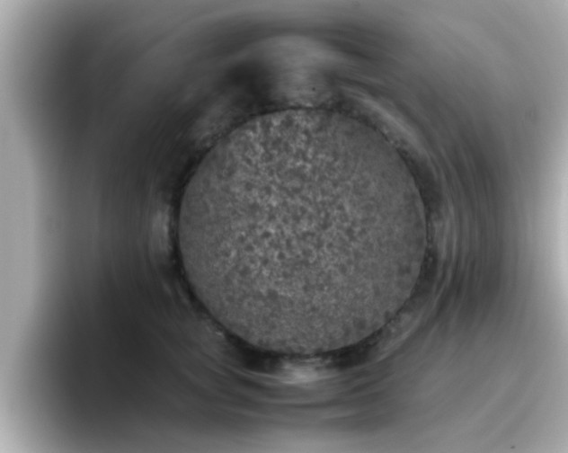 X0000096670757200802121151