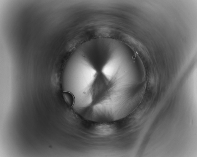 X0000096670759200802121151