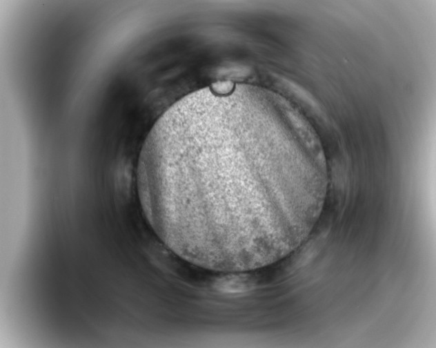 X0000096670761200802121151